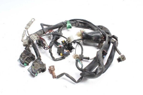 Cablaggio cablaggio principale Aprilia Aprilia ETV 1000 Caponord PS 01-09