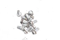 Bromsskivskruvar voirn Aprilia Aprilia ETV 1000 Caponord...