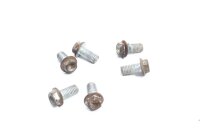 Bromsskivskruvar bak Aprilia Aprilia ETV 1000 Caponord PS...