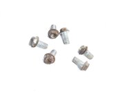 Bromsskivskruvar bak Aprilia Aprilia ETV 1000 Caponord PS...