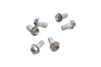 Bromsskivskruvar bak Aprilia Aprilia ETV 1000 Caponord PS 01-09