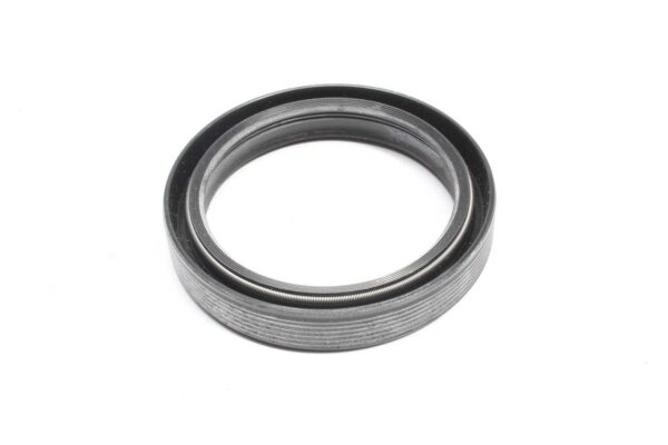 Gabelholm Simmerring vorn Aprilia Aprilia ETV 1000 Caponord PS 01-09