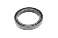 Gabelholm Simmerring vorn Aprilia Aprilia ETV 1000...