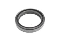 Gabelholm Simmerring vorn Aprilia Aprilia ETV 1000...