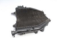 Raffreddatore ad acqua Radiatore di raffreddamento BMW K 1200 S K40 K12S 0581 05-08