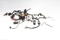 Wiring harness main wiring harness BMW F 650 GS R13 00-03