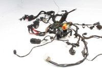 Wiring harness main wiring harness BMW F 650 GS R13 00-03