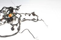 Wiring harness main wiring harness BMW F 650 GS R13 00-03