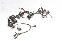 Kabelhärva huvudkabelhärva Triumph Tiger 1050...