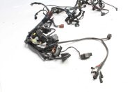 Kabelhärva huvudkabelhärva Triumph Tiger 1050...