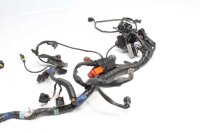 Cablaggio cablaggio principale Triumph Tiger 1050 115NG 07-13