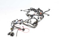 Cablaggio cablaggio principale Triumph Tiger 1050 115NG 07-13