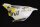 Rear panel rear left Husqvarna Supermoto 701 Euro 4 701 SM/17 17-20