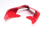 Bakpanelens bakpanelskydd Ducati Panigale 1100 V4 23-23