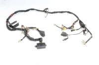 Cablaggio cablaggio principale Aprilia SL 1000 Falco ZD4PA 99-04