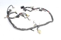 Cablaggio cablaggio principale Aprilia SL 1000 Falco ZD4PA 99-04