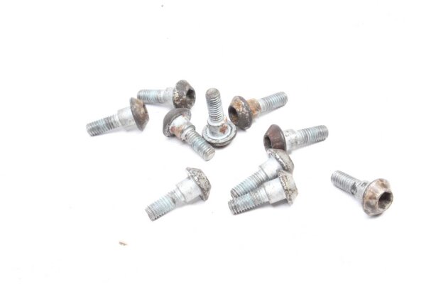 Set di viti per disco freno, viti per disco freno anteriore 10x Yamaha FZ 6 Fazer RJ14 07-08