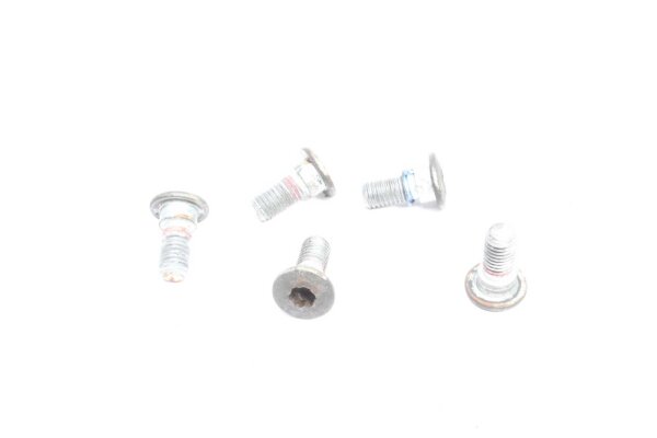 Brake disc screw set rear screws brake Yamaha FZ 6 Fazer RJ14 07-08