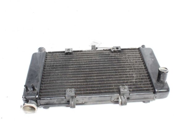 Refroidisseur deau Refroidisseur de radiateur Yamaha FZ6 FAZER RJ071 04-06