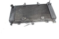 Refroidisseur deau Refroidisseur de radiateur Yamaha FZ6 FAZER RJ071 04-06