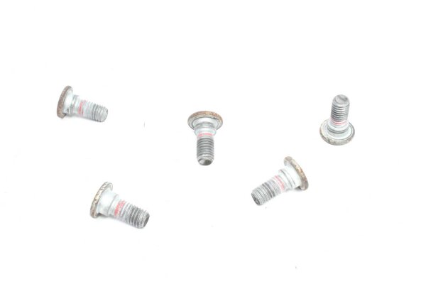 Jarrulevyn ruuvit takana Yamaha FZ6 FAZER RJ071 04-06