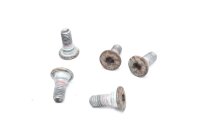 Jarrulevyn ruuvit takana Yamaha FZ6 FAZER RJ071 04-06