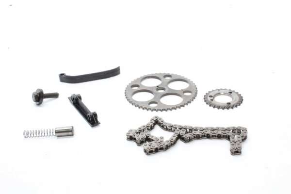 Steuerkettensatz Steuerkette Kettenspanner Kettenrad Gleitschiene Ritzel BMW R 1200 C 259C 97-05