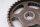 Tandremskive knastaksel remskive tandhjul Honda ST 1100 PAN European SC26 90-01