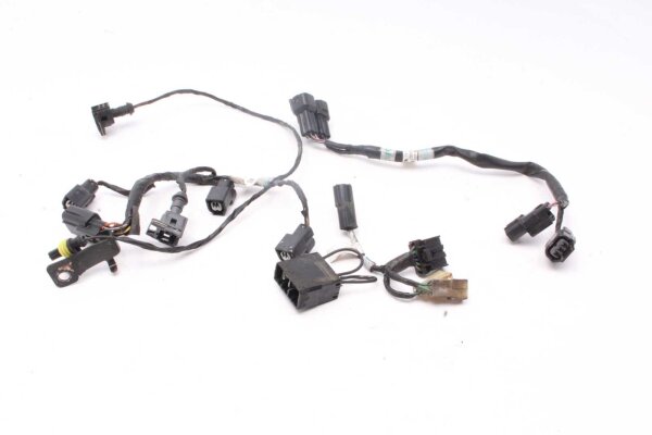 Kabelhärva Huvudkabelhärva Kabelhärva Triumph Tiger 1200 Explorer V13VG 12-15