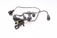 Kabelhärva Huvudkabelhärva Kabelhärva Triumph Tiger 1200 Explorer V13VG 12-15