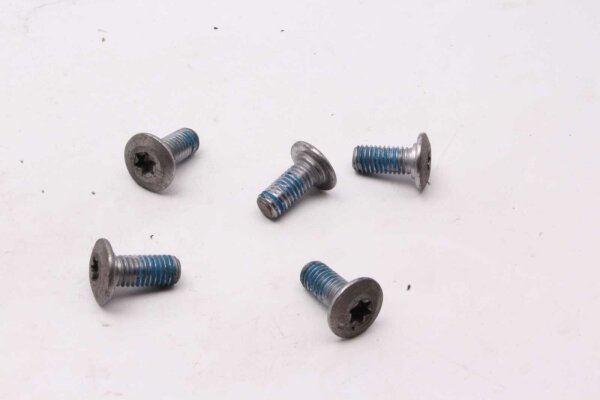 Bromsskivskruvsats bak Triumph Tiger 1200 Explorer V13VG 12-15