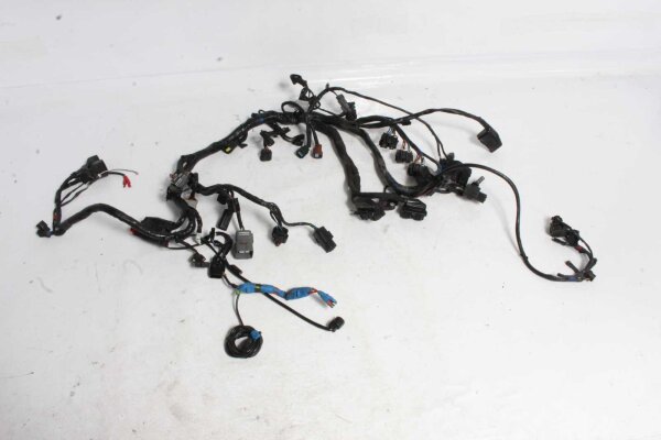 Johtosarjan pääjohtosarjan johtosarja Triumph Tiger 1200 Explorer V13VG 12-15