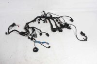 Ledningsnet hovedledningsnet kabelsæt Triumph Tiger...