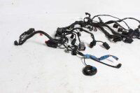 Ledningsnet hovedledningsnet kabelsæt Triumph Tiger...