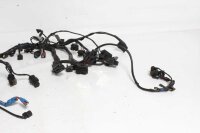 Johtosarjan pääjohtosarjan johtosarja Triumph Tiger 1200 Explorer V13VG 12-15