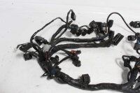 Johtosarjan pääjohtosarjan johtosarja Triumph Tiger 1200 Explorer V13VG 12-15