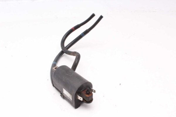 Zündspule Zündmodul Zündspulenmodul Zündspulen Yamaha FZ 6 Fazer RJ14 07-08