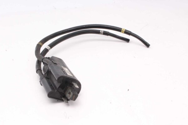 Ontstekingsbobine ontstekingsmodule ontstekingsbobinemodule ontstekingsbobines Yamaha FZ 6 Fazer RJ14 07-08