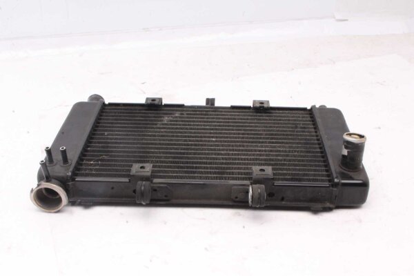 Waterkoeler radiator motorkoeling Yamaha FZ 6 Fazer RJ14 07-08