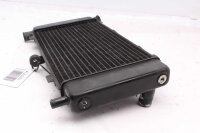 Waterkoeler radiator motorkoeling Yamaha FZ 6 Fazer RJ14 07-08