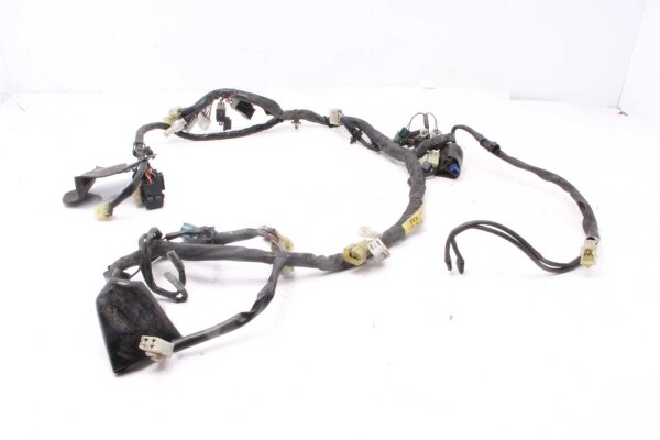 Cablaggio cablaggio principale cablaggio elettrico cablaggio Yamaha FZ 6 Fazer RJ14 07-08