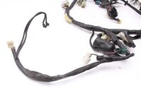 Cablaggio cablaggio principale cablaggio elettrico cablaggio Yamaha FZ 6 Fazer RJ14 07-08