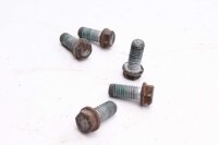 Skruvsats för bakre bromsskivor KTM 990 Super Duke 990SD 07-11