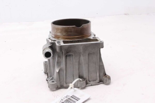 Zylinder Kolben Zylinderkopf Motorblock Rotax 223902 BMW F 650 GS R13 00-00