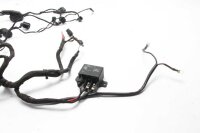 Faisceau de câbles faisceau de câbles principal BMW F 650 GS Twin E8GS 0218 08-12