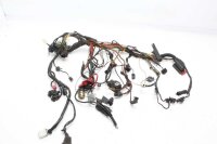 Wiring harness main wiring harness BMW F 650 GS R13 00-03