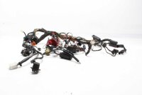 Wiring harness main wiring harness BMW F 650 GS R13 00-03