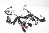 Hovedledningsnet ledningsnet BMW F 650 GS R13 00-00
