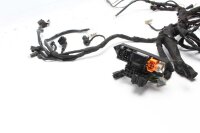 Hovedledningsnet ledningsnet BMW F 650 GS R13 00-00