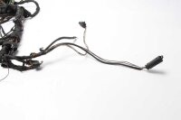 Hovedledningsnet ledningsnet BMW F 650 GS R13 00-00